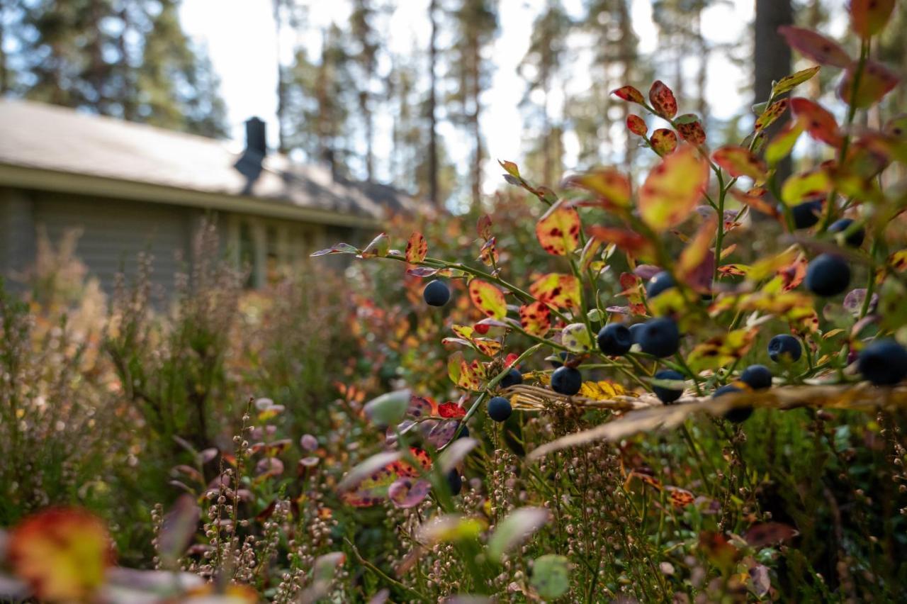 Saimaan Kultaranta Villa Puumala Luaran gambar