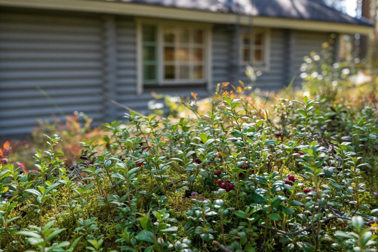 Saimaan Kultaranta Villa Puumala Luaran gambar