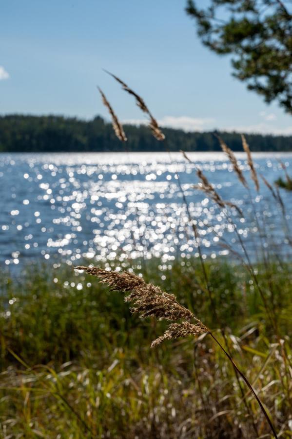 Saimaan Kultaranta Villa Puumala Luaran gambar